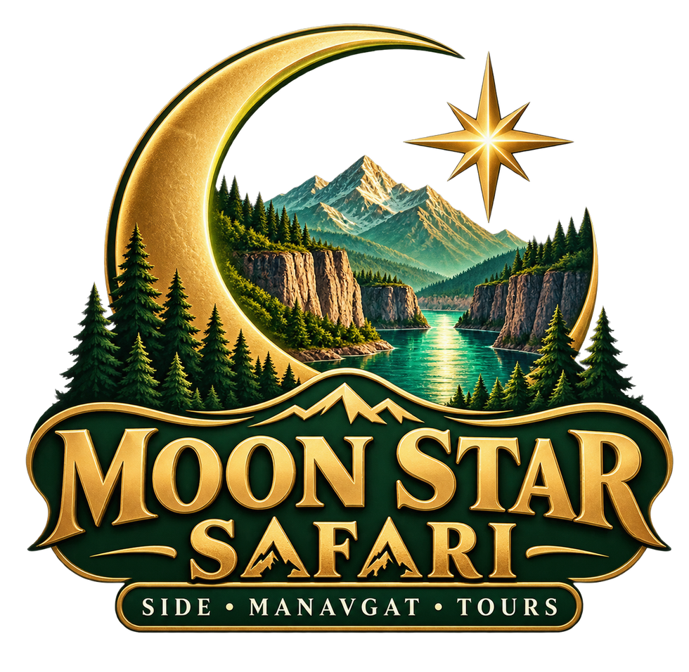 Moon Star Safari